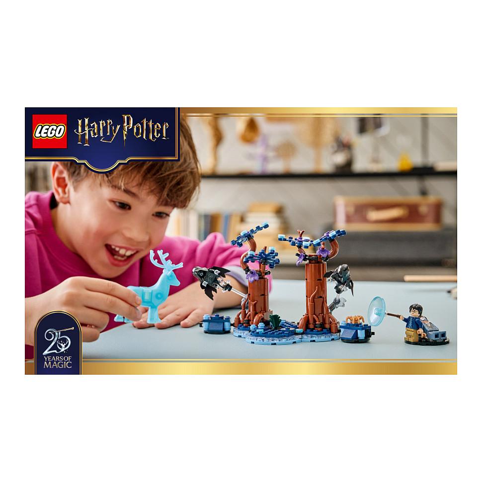 LEGO Harry Potter Verbotener Wald: Expecto Patronum - 21
