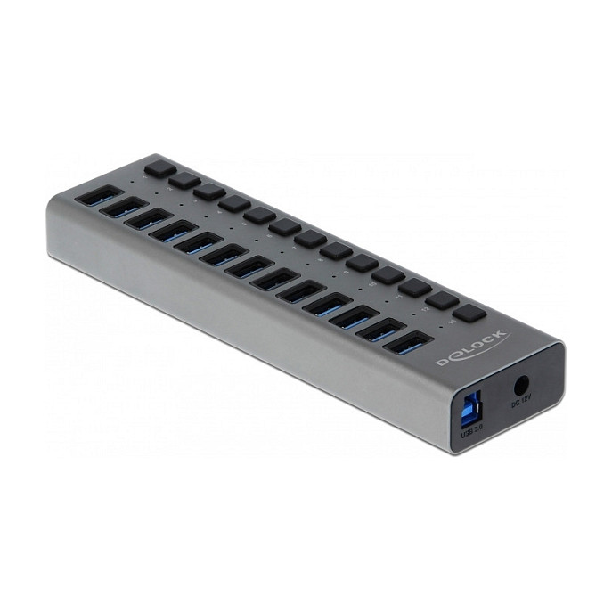 Delock 63738 External USB 5 Gbps Hub / 13× USB Type-A / Individual Switches / Metal Housing / 60W