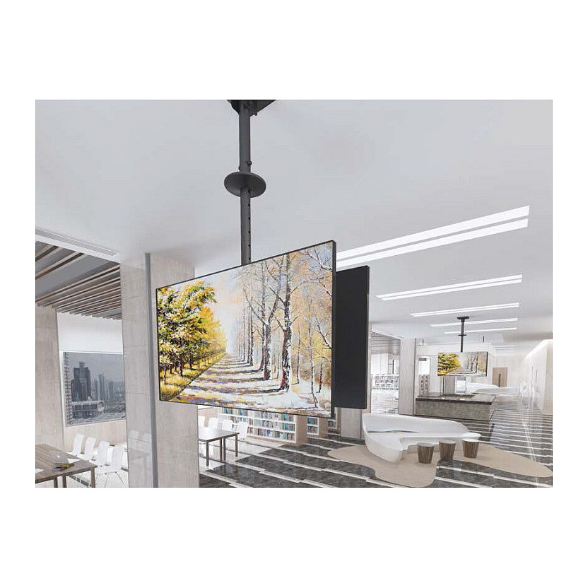 Mbajtëse për TV Equip Deckenhalterung / 39″–75″ / 2 TFT / 40 kg / 2 Gelenke - Zezë - 4