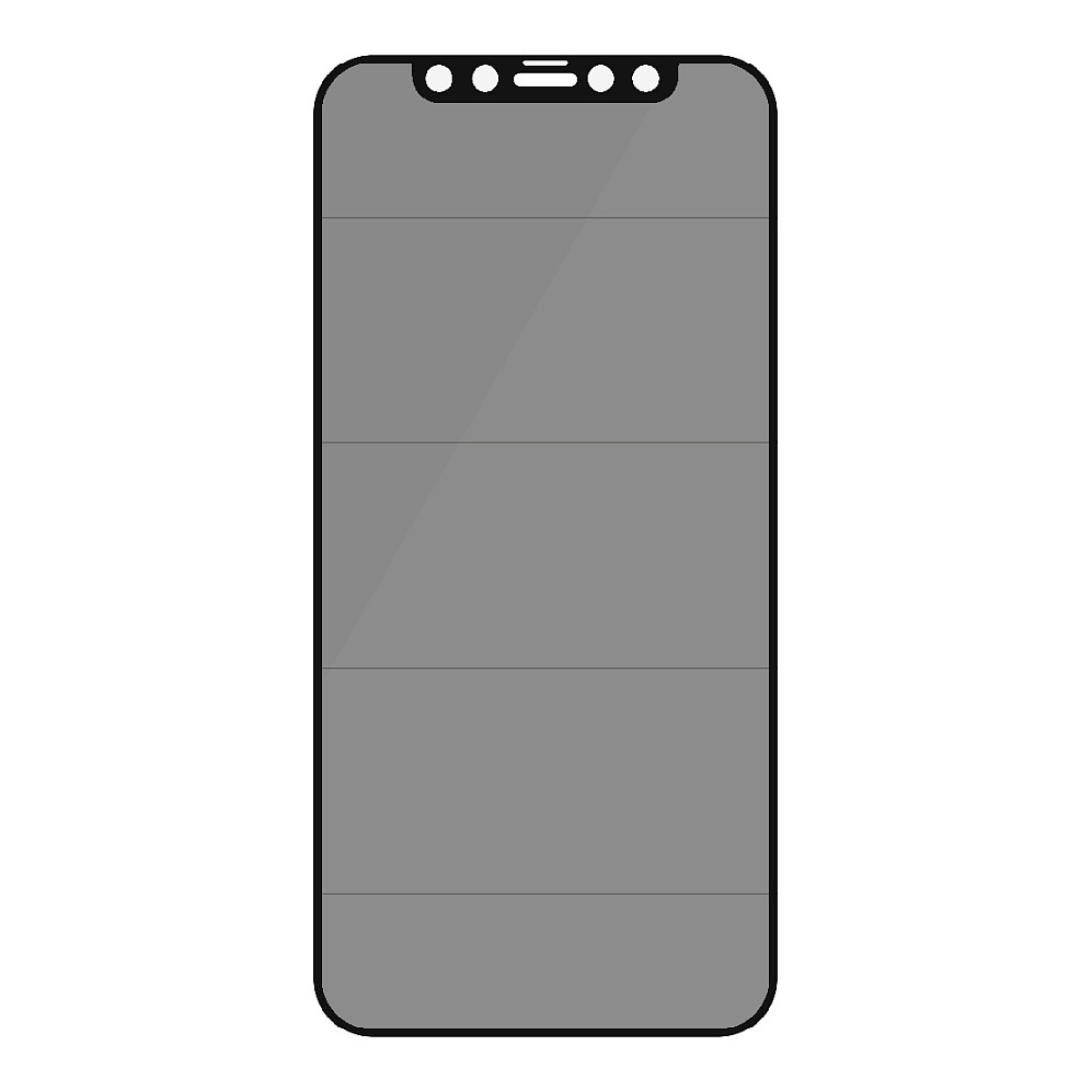 Mbrojtës Ekrani PanzerGlass E2E / Privacy / Antibacterial / iPhone 12 & 12 Pro - Transparente