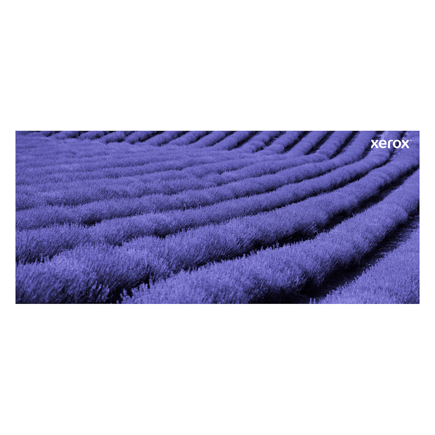 Toner Xerox C410 / 006R04677 -Zezë - 14