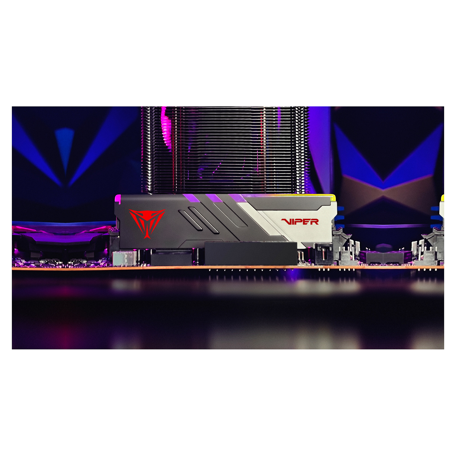 Ram Memorie DDR5 RAM Patriot Viper Venom RGB 32GB (2x16GB) 6000MHz DIMM Dual-Kit / INTEL XMP & AMD EXPO - 3