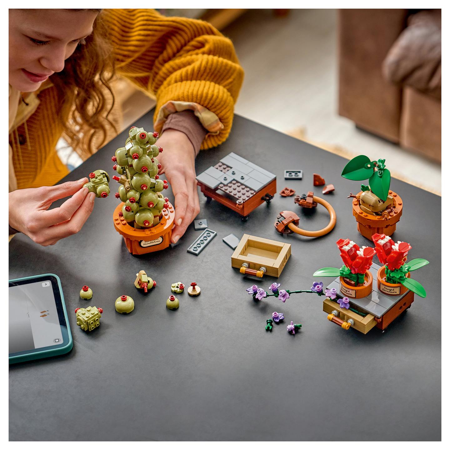 LEGO Harry Potter Schloss Hogwarts: Kräuterkunde-Pflanzen - 5