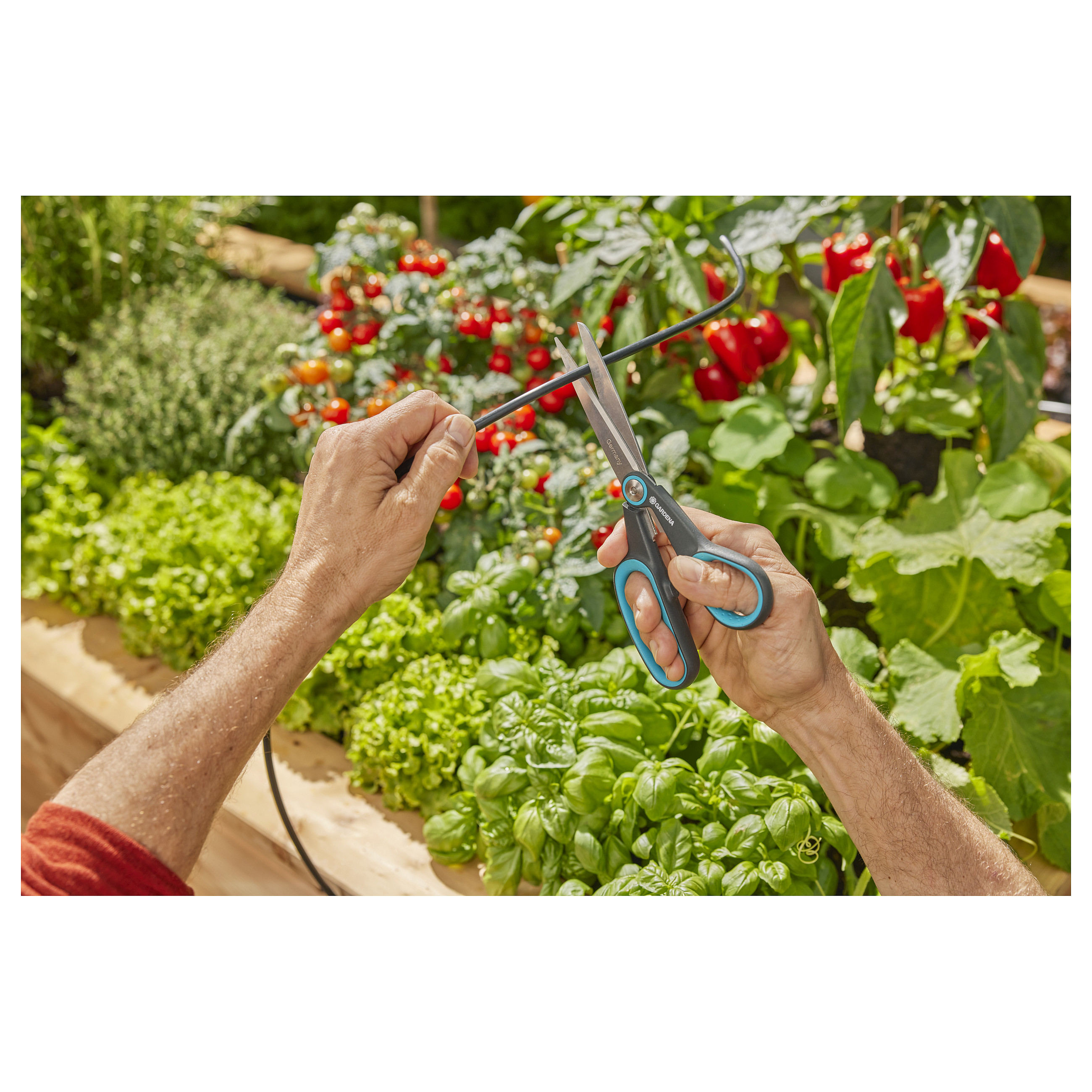 Sistem Ujitjeje me Energji Diellore Gardena AquaBloom L Set - 6