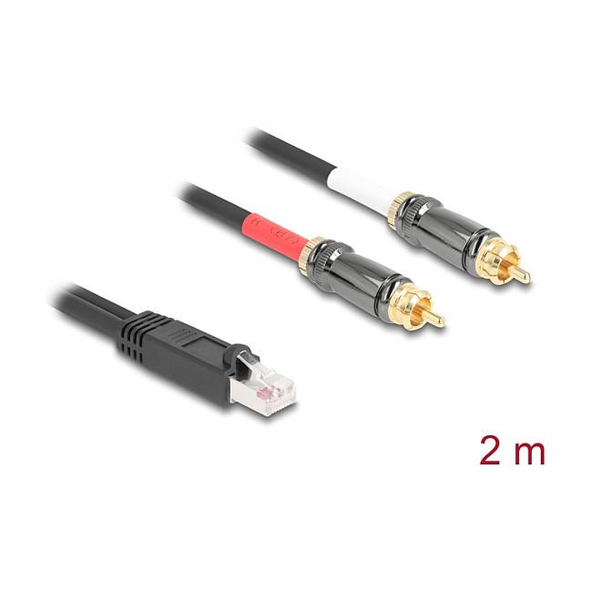 Kabllo Audio DeLOCK 88171, RJ-45 Mashkull në 2 × RCA Mashkull, Cat.5, 2 m - Zezë - 2