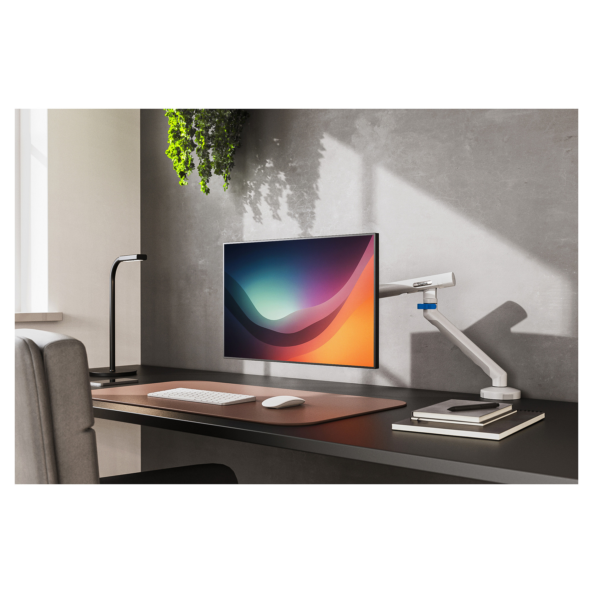 Mbajtëse për Monitor DIGITUS Single Design / 15″–35″ / deri në 10 kg / Sustë Mekanike / VESA 75×75, 100×100 - Bardhë - 7