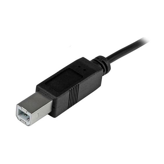 Kabllo USB StarTech.com USB2CB2M / USB-C Mashkull → USB-B Mashkull / USB 2.0 / 480 Mbit/s / 2m - Zezë - 3