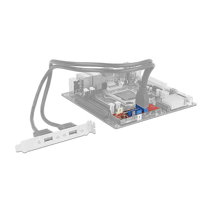 Konvertues M.2 DeLOCK 62843, M.2 Key B+M në 2x USB 3.0, 5 Gbit/s, PCIe - 3