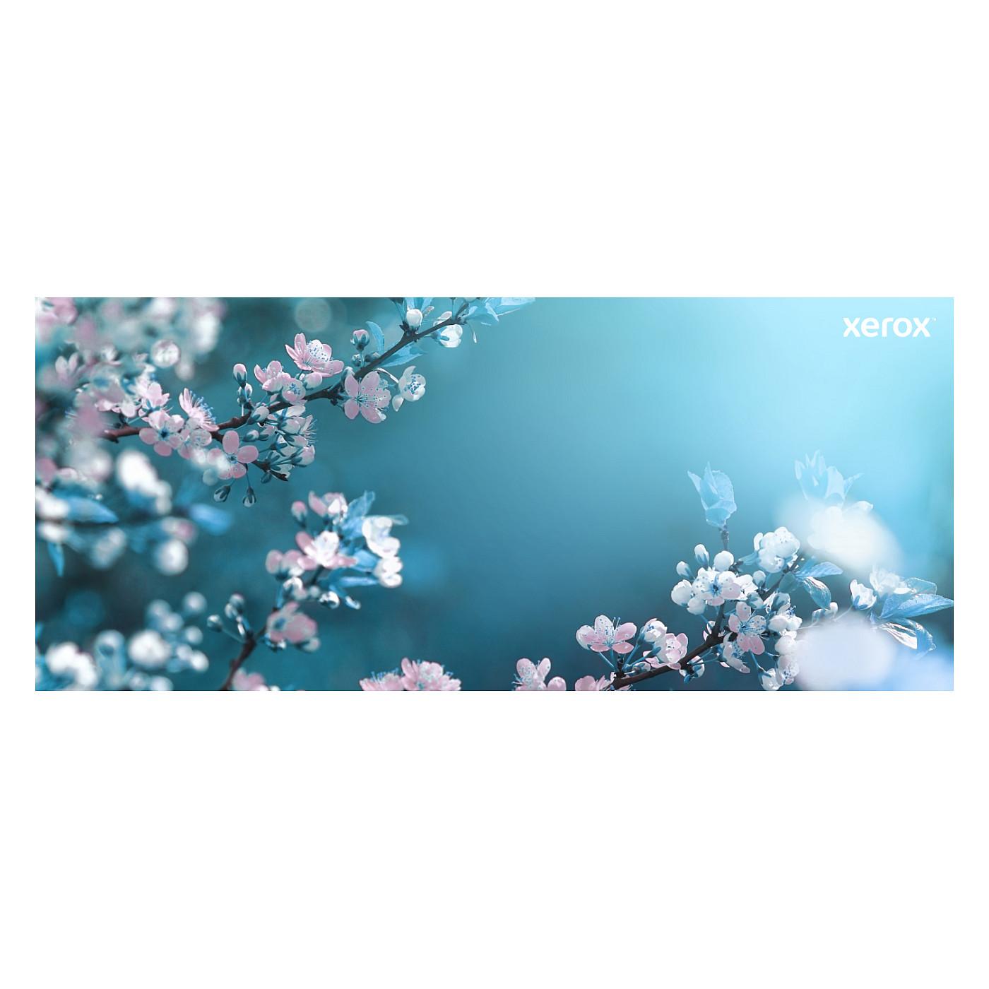 Toner Xerox 006R04822, 1,800 faqe - Verdhë - 12