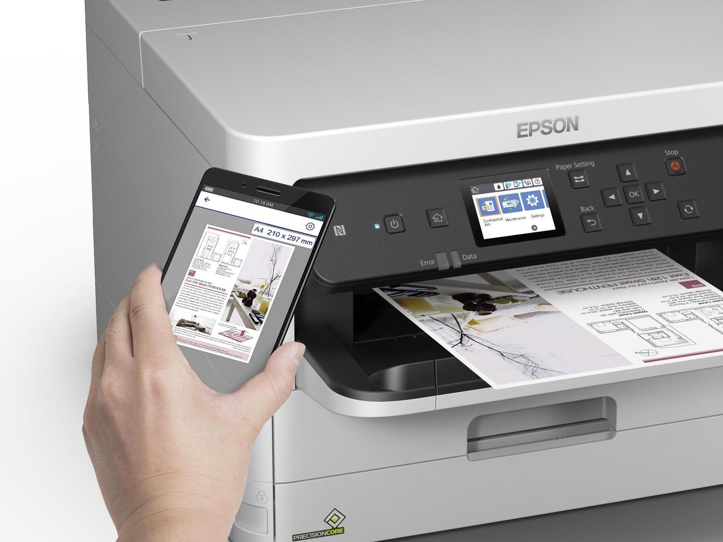 INK Epson T01D3 C13T01D300 / 20.000 faqe – Rozë - 5