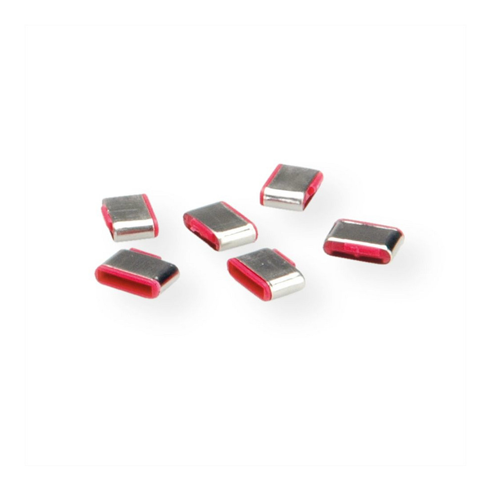 Bllokues porte USB-C ROLINE / Set me 10 copë / për Mbrojtjen e Pajisjeve - Hiri - 4