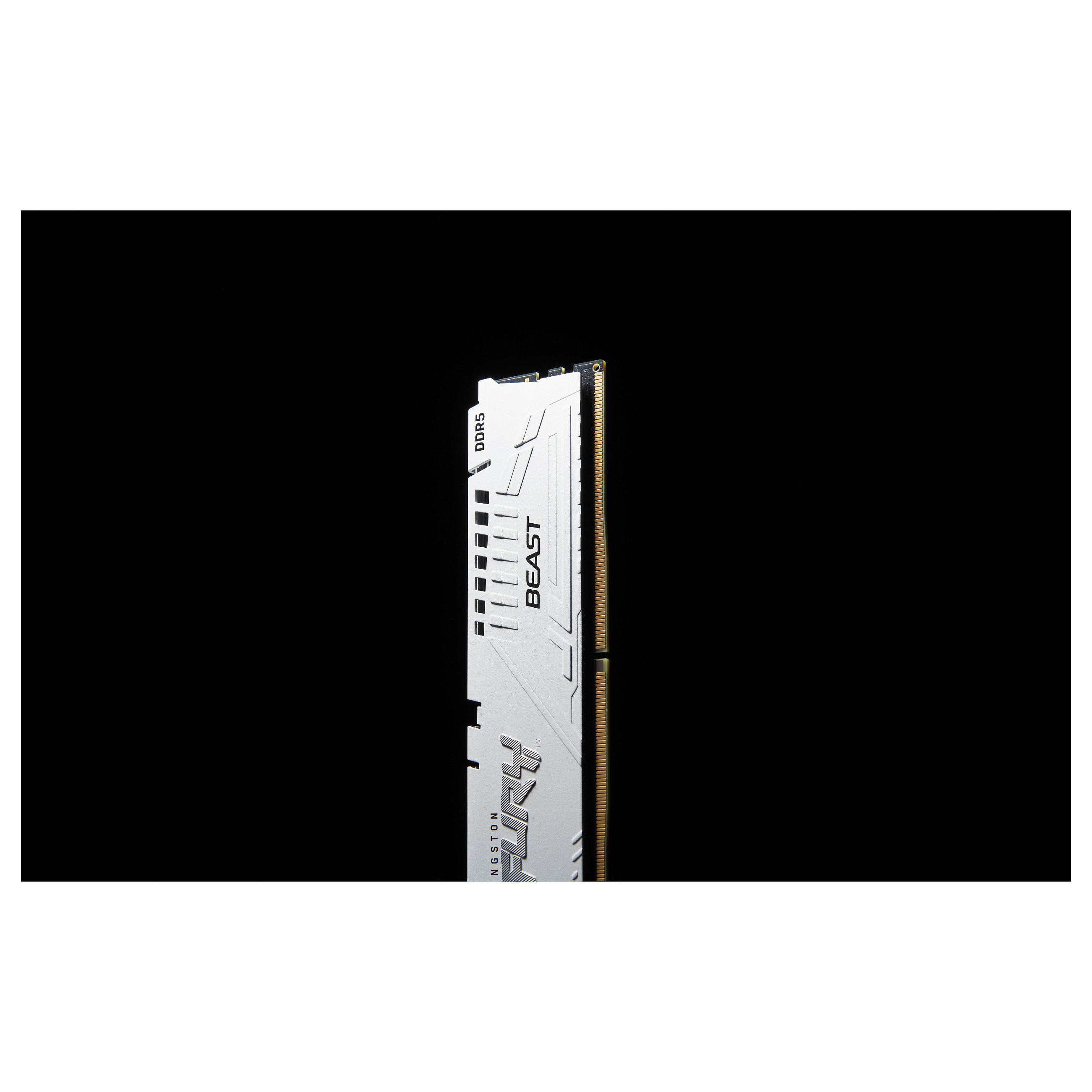 RAM Memorie DDR5 Kingston FURY Beast / 16GB / DIMM / 5600MT/s / 288-pin - Bardhë - 9