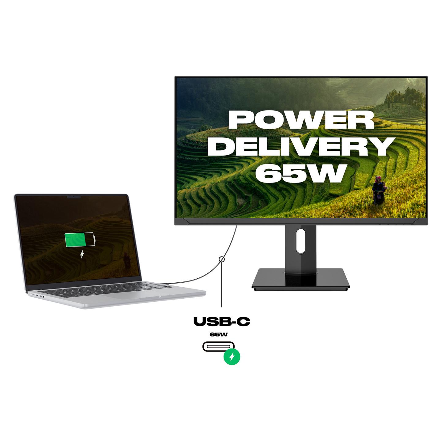 Monitor JAPANNEXT JN-IPS2380UHDR-C65W-HSP / 23.8" / 4K UHD IPS / 60Hz / 5ms / HDMI+DisplayPort+USB-C - Zezë - 7