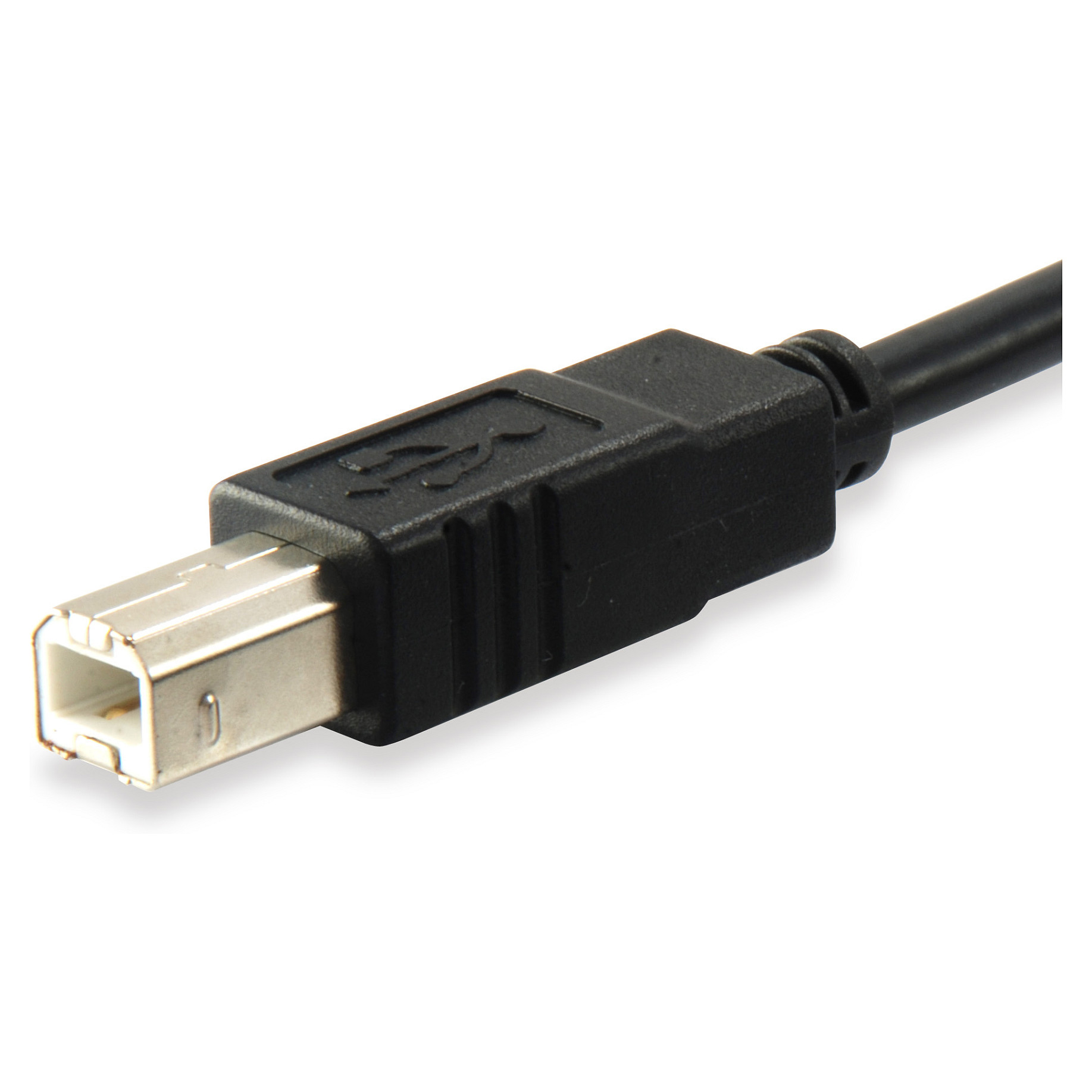 Kabllo USB Equip 12888207 / USB-C në USB-B / USB 2.0 / 480 Mbit/s / 1 m - Zezë - 2