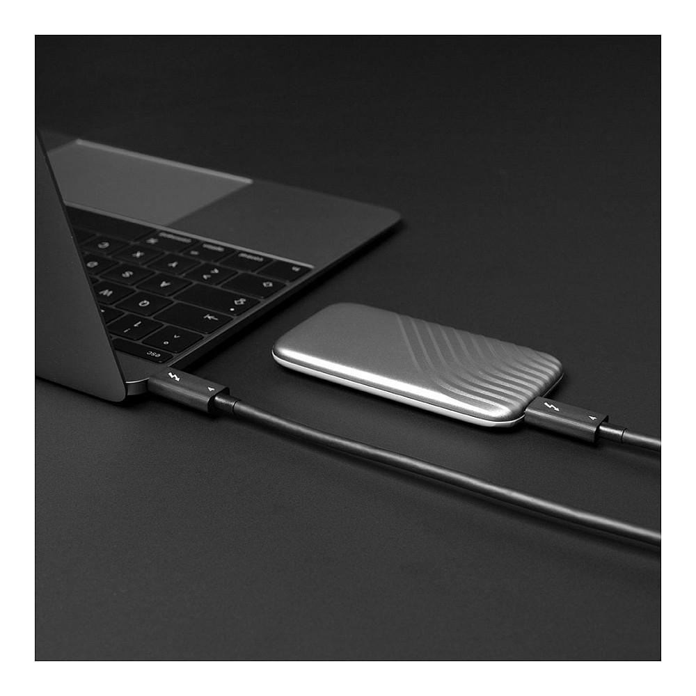 Kabllo Thunderbolt 4 LINDY 31121, USB-C në USB-C, 40 Gbps, 100 W, 2 m - Zezë - 5
