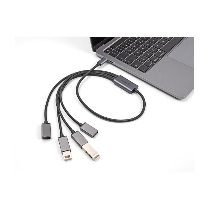 Hub USB DeLOCK 64210, USB 2.0 Type-C mashkull në 4 × USB Type-A femër, 480 Mb/s, 60 cm - Zezë/Hiri - 2