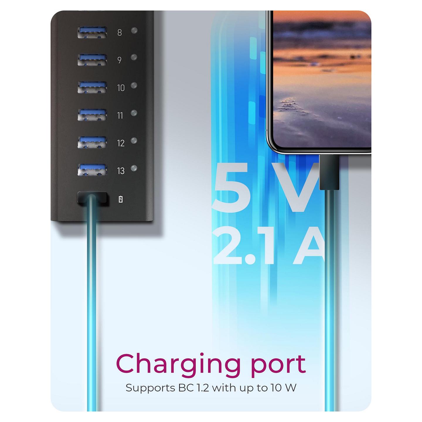 Splitter USB ICY BOX IB-AC6113 / 14x USB-A / USB 3.2 Gen 1 / USB-B / 5 Gbit/s / 12V/5A - Zezë - 5