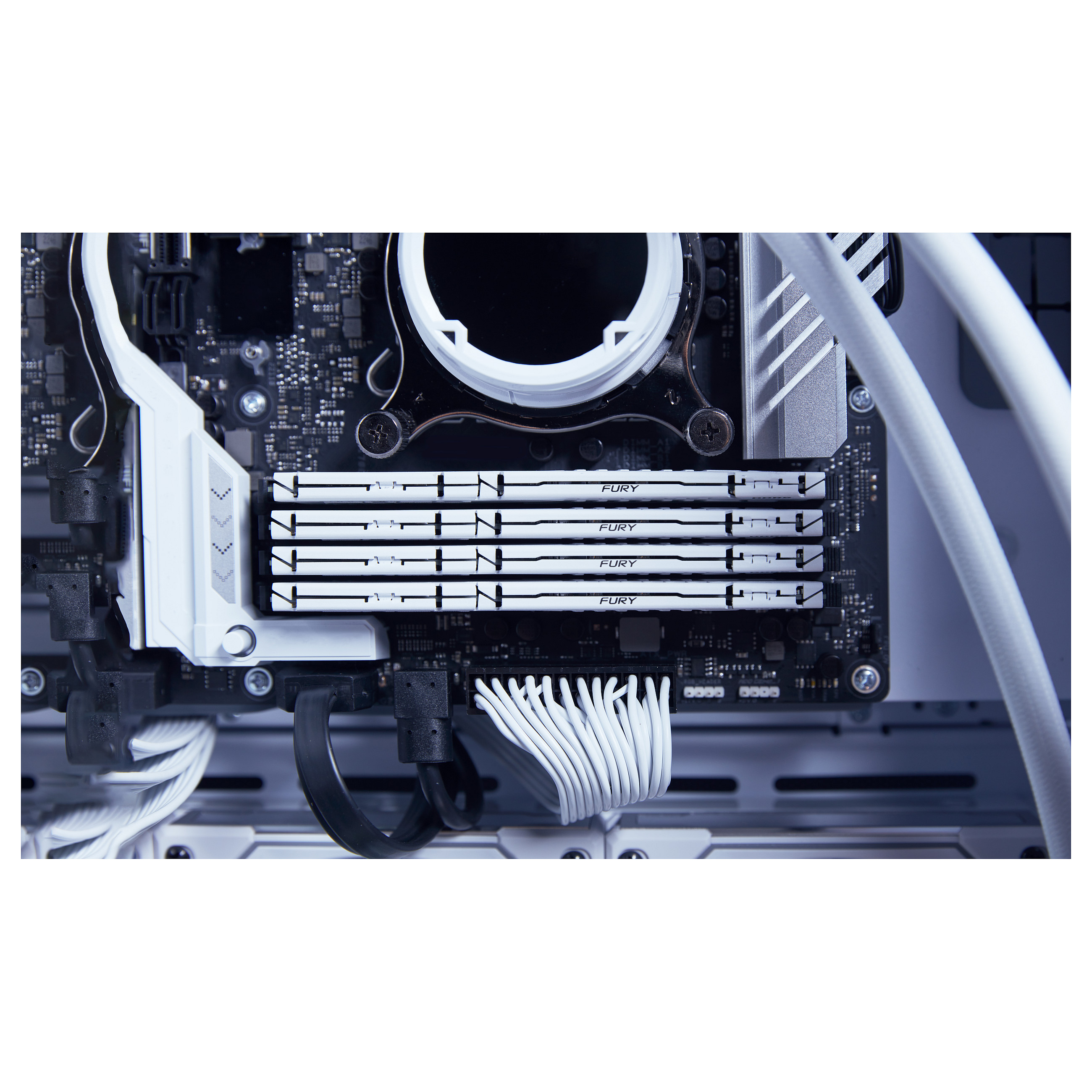 RAM Memorie DDR5 Kingston FURY Beast / 16GB / DIMM / 5600MT/s / 288-pin - Bardhë - 7