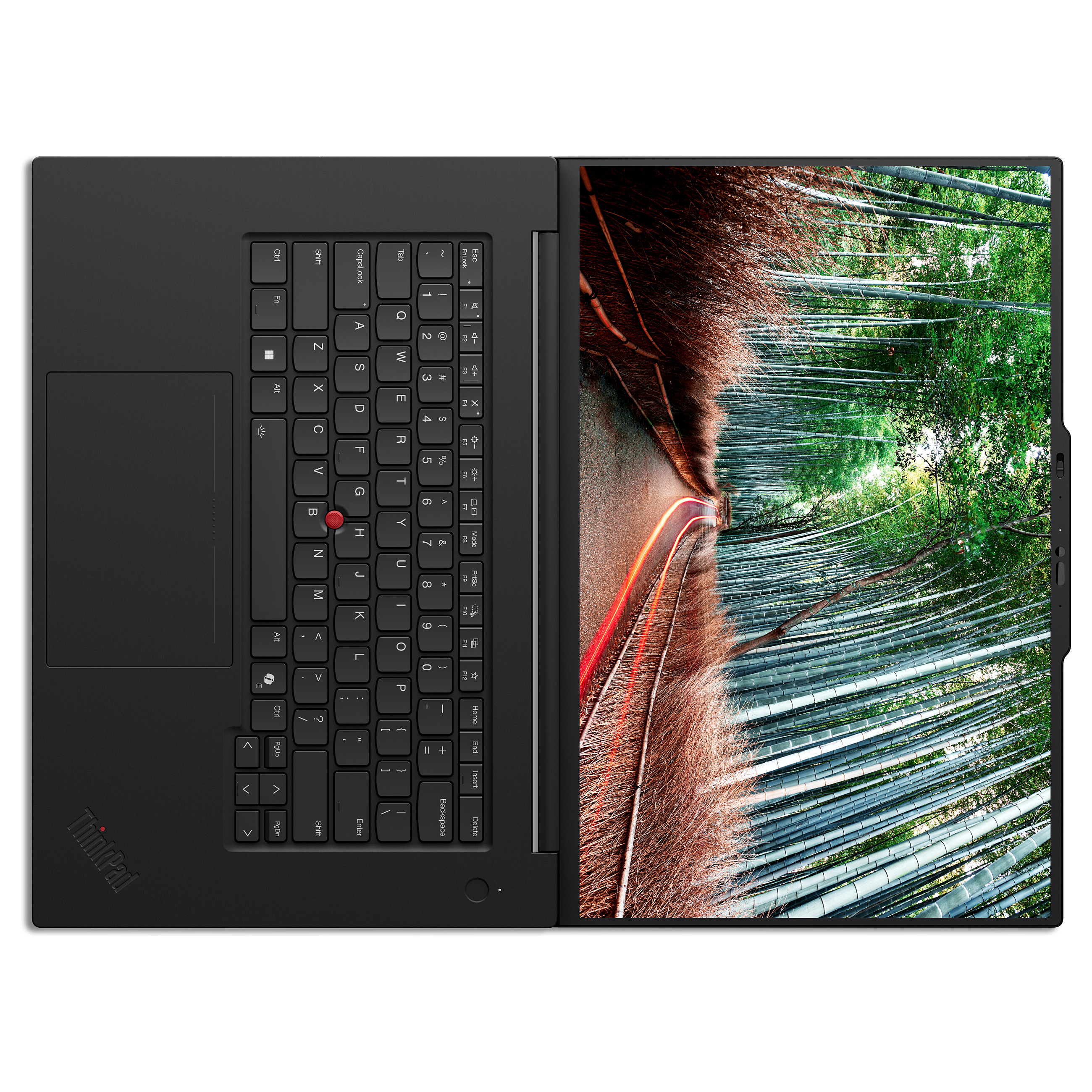 Laptop Lenovo ThinkPad T1g Gen 8 / Core Ultra 7‑255H / 64GB LPDDR5x / 512GB / 16" WQUXGA IPS 60Hz / RTX 5060 8GB – Zezë - 12