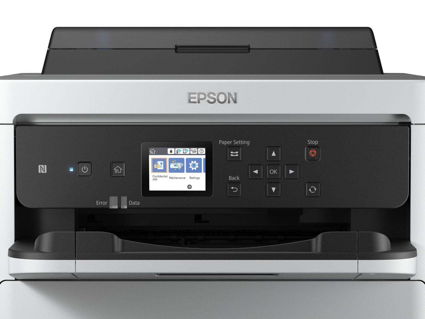 INK Epson T01D4 C13T01D400 / 20.000 faqe – Verdhë - 5