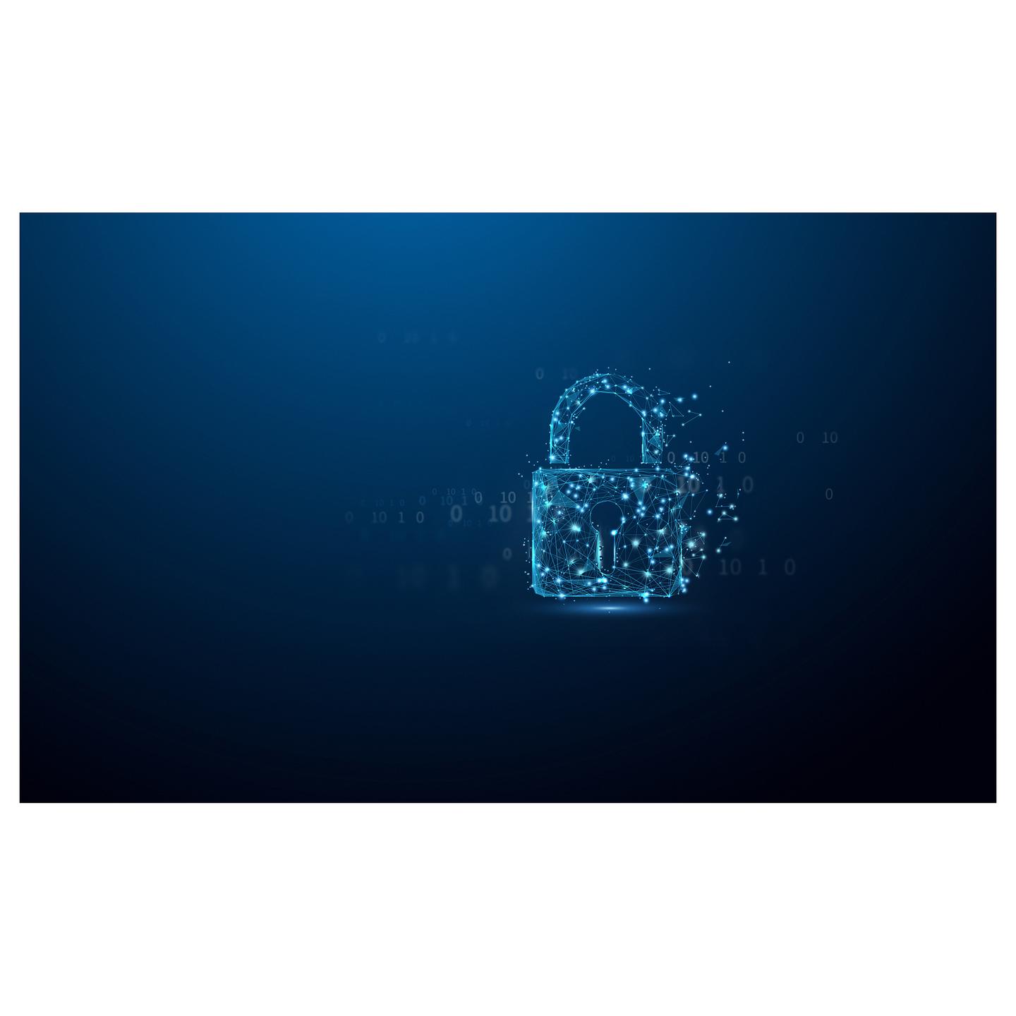 USB Flash Drive Kingston IronKey Locker+ 50 G2, 256GB, USB 3.2 Gen 1, AES 256-bit, FIPS 197 – Zezë - 12