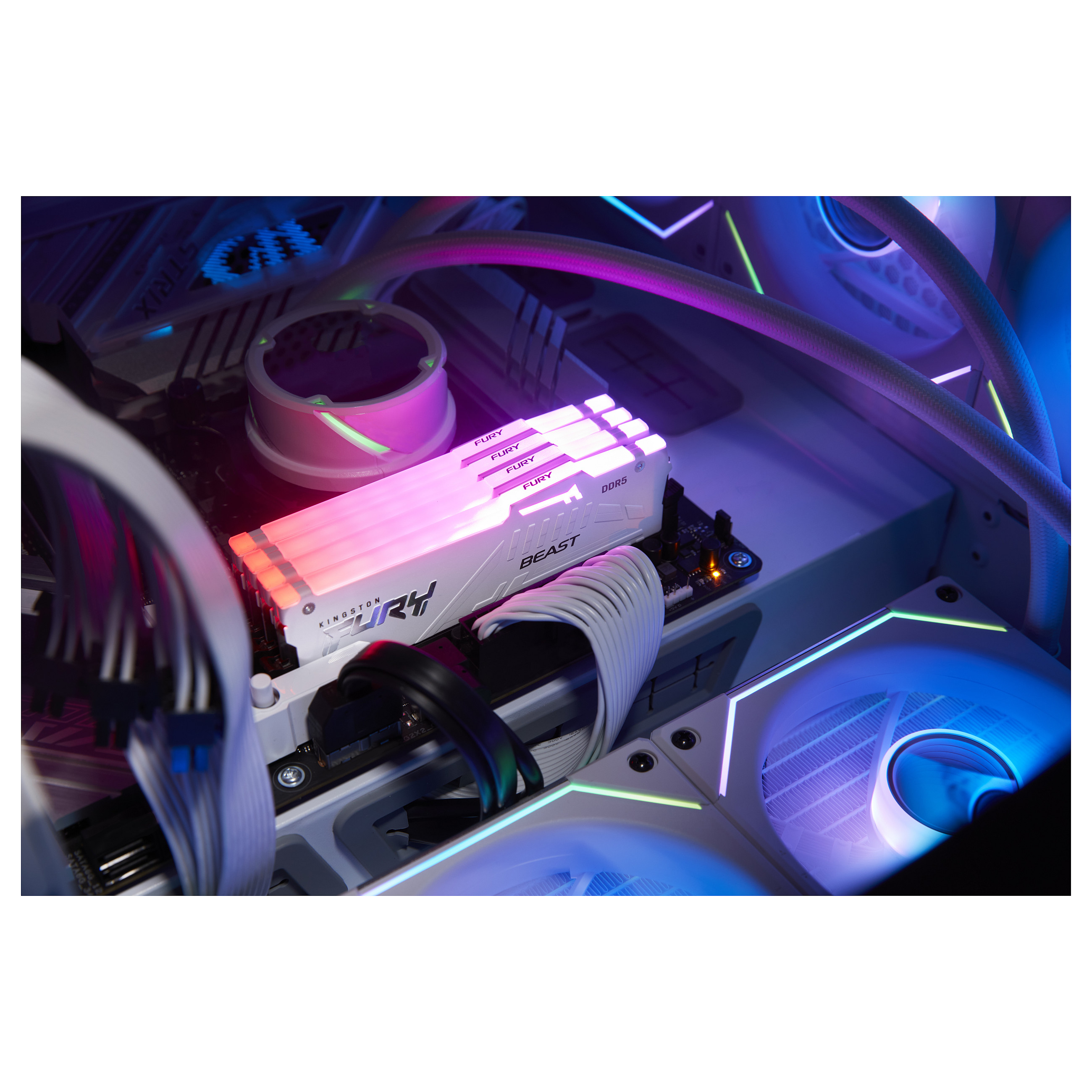 RAM Memorie DDR5 Kingston FURY Beast RGB / 16GB / DIMM / 6000MT/s / 288-pin - Bardhë - 7