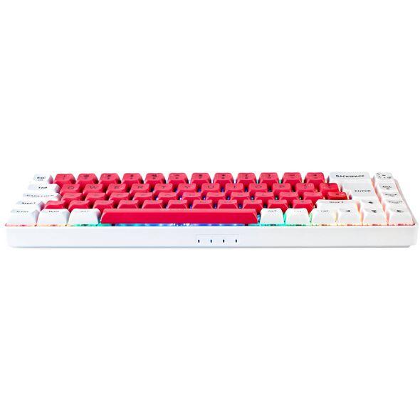 Tastierë Gaming GAMIAC TKL69G SF 65% / Mekanike / Kailh Blue Switches / RGB / USB-C - Bardhë/Kuqe - 5