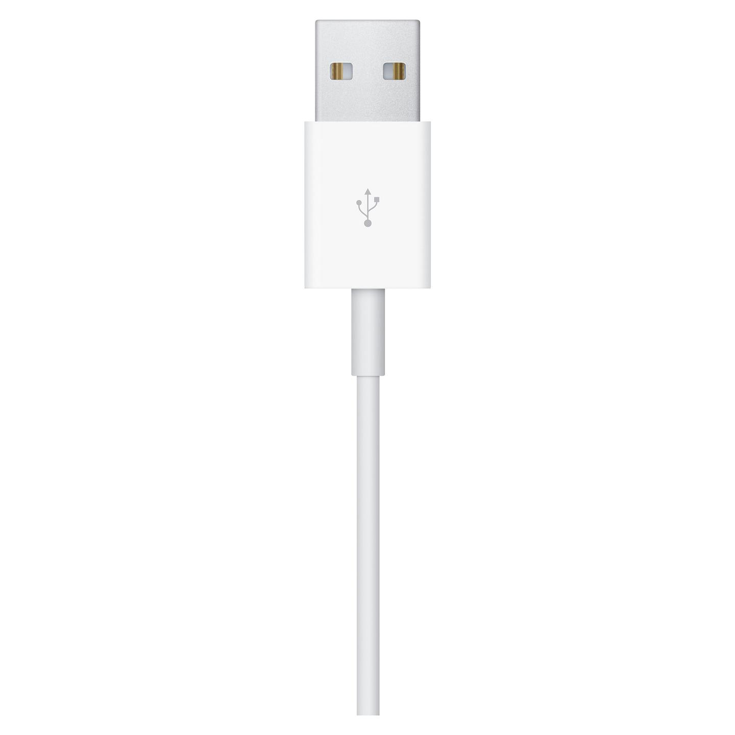 Kabllo Karikimi Magnetike Apple USB-C për Apple Watch, 1 m - Bardhë - 4