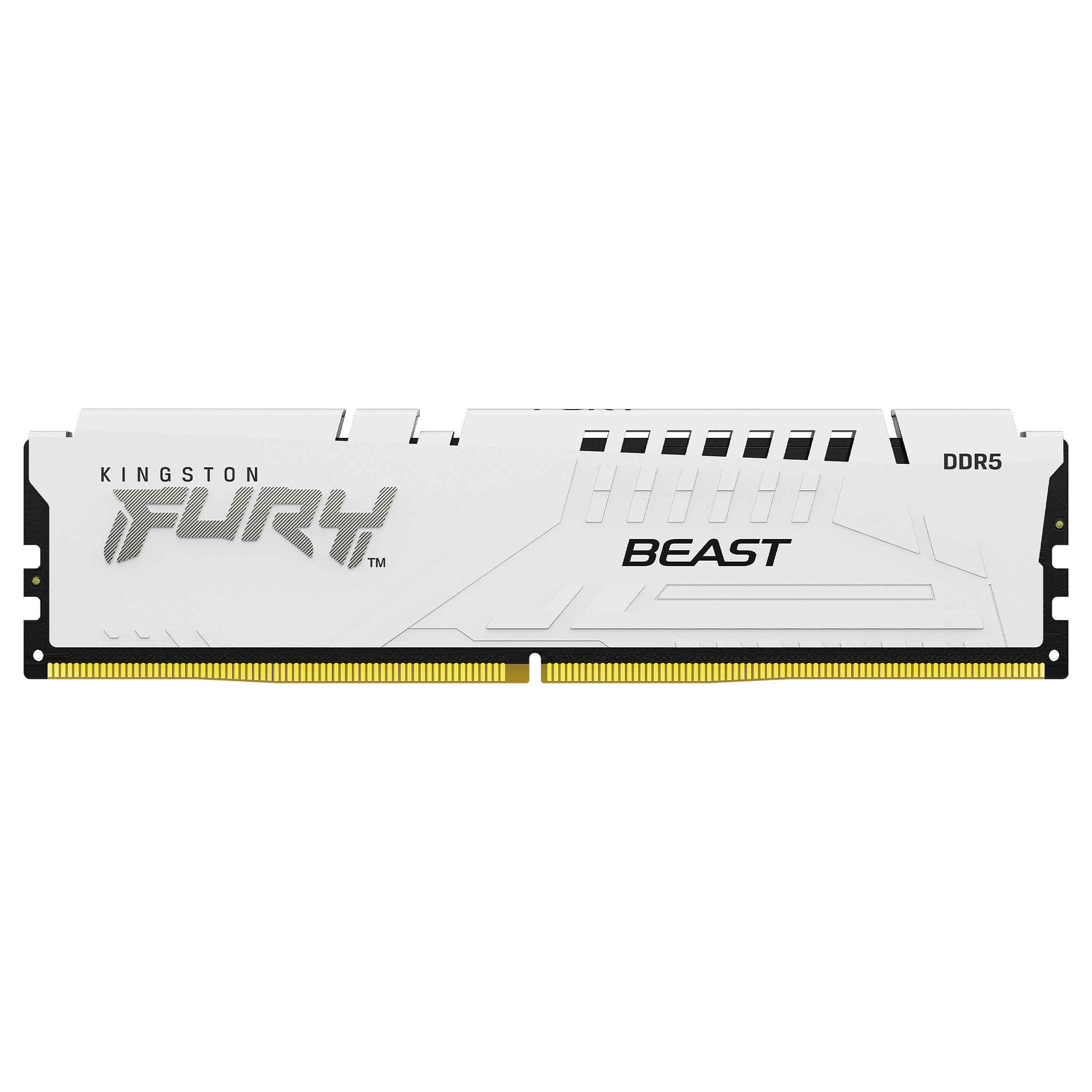 RAM Memorie DDR5 Kingston FURY Beast / 16GB / DIMM / 5600MT/s / 288-pin - Bardhë - 2