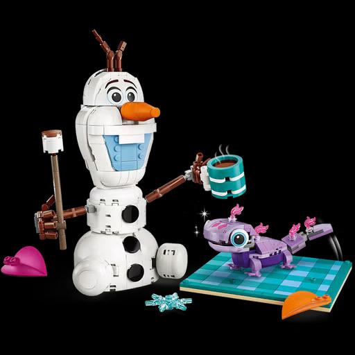 LEGO Disney Olaf and Bruni’s Picnic Fun 43287 - 4