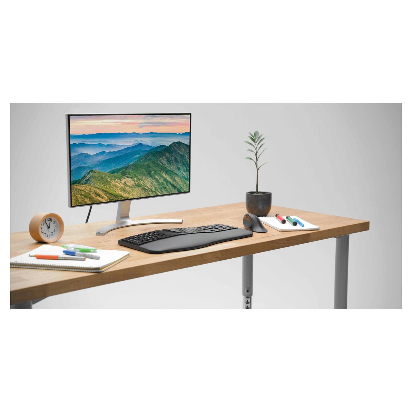 Kufje me kabllo Kensington K97457WW / USB-C / 40 mm / Noise-Cancelling Mic - Zezë - 15