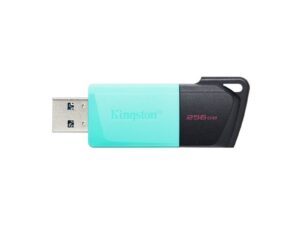 USB Flash Drive Kingston UFD 256GB DTXM KIN