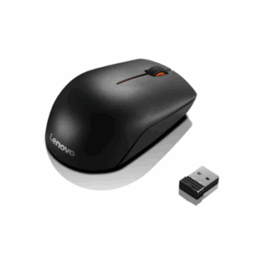 Maus pa kabllo Lenovo 300 Wireless / Compact - Zezë