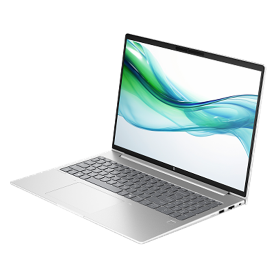 Laptop HP NB ProBook 460 G11 / Ultra 7-155U / 16GB DDR5 / 1TB / 16” WUXGA IPS AG / Intel Graphics - Pike Silver - Figura 3