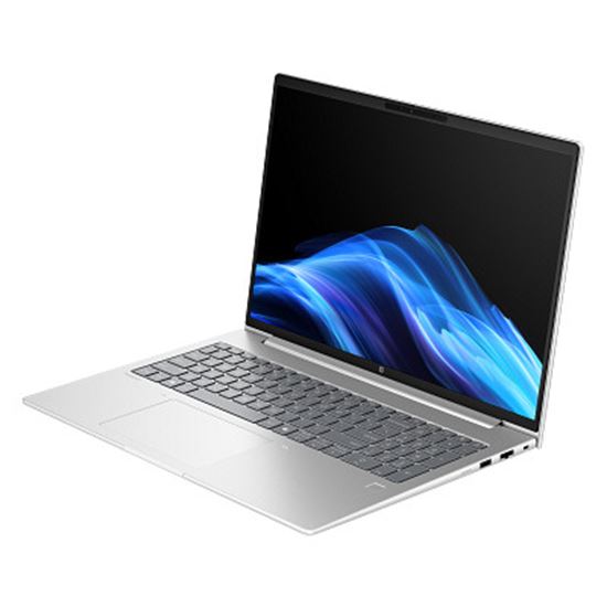 Laptop HP NB ProBook 4 G1ah / Ryzen 5 220 / 16GB DDR5 / 512GB / 16″ WUXGA IPS AG / AMD Radeon 740M – Pike Silver 3