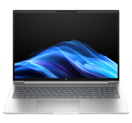 Laptop HP NB ProBook 4 G1ah / Ryzen 5 220 / 16GB DDR5 / 1TB / 16" WUXGA IPS AG / AMD Radeon 740M - Pike Silver