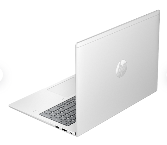 Laptop HP NB ProBook 4 G1ah / Ryzen 5 220 / 16GB DDR5 / 1TB / 16" WUXGA IPS AG / AMD Radeon 740M - Pike Silver - Figura 3