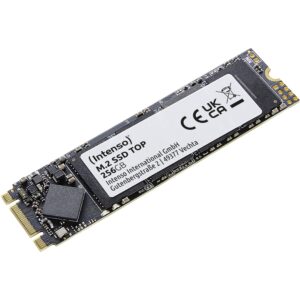 SSD e brendshme M.2 256GB Intenso Top Performance