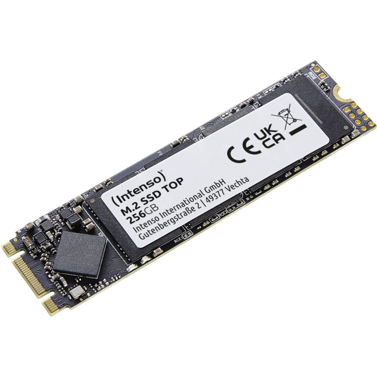 SSD e brendshme M.2 256GB Intenso Top Performance