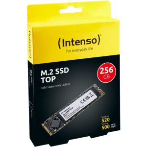 SSD e brendshme M.2 256GB Intenso Top Performance