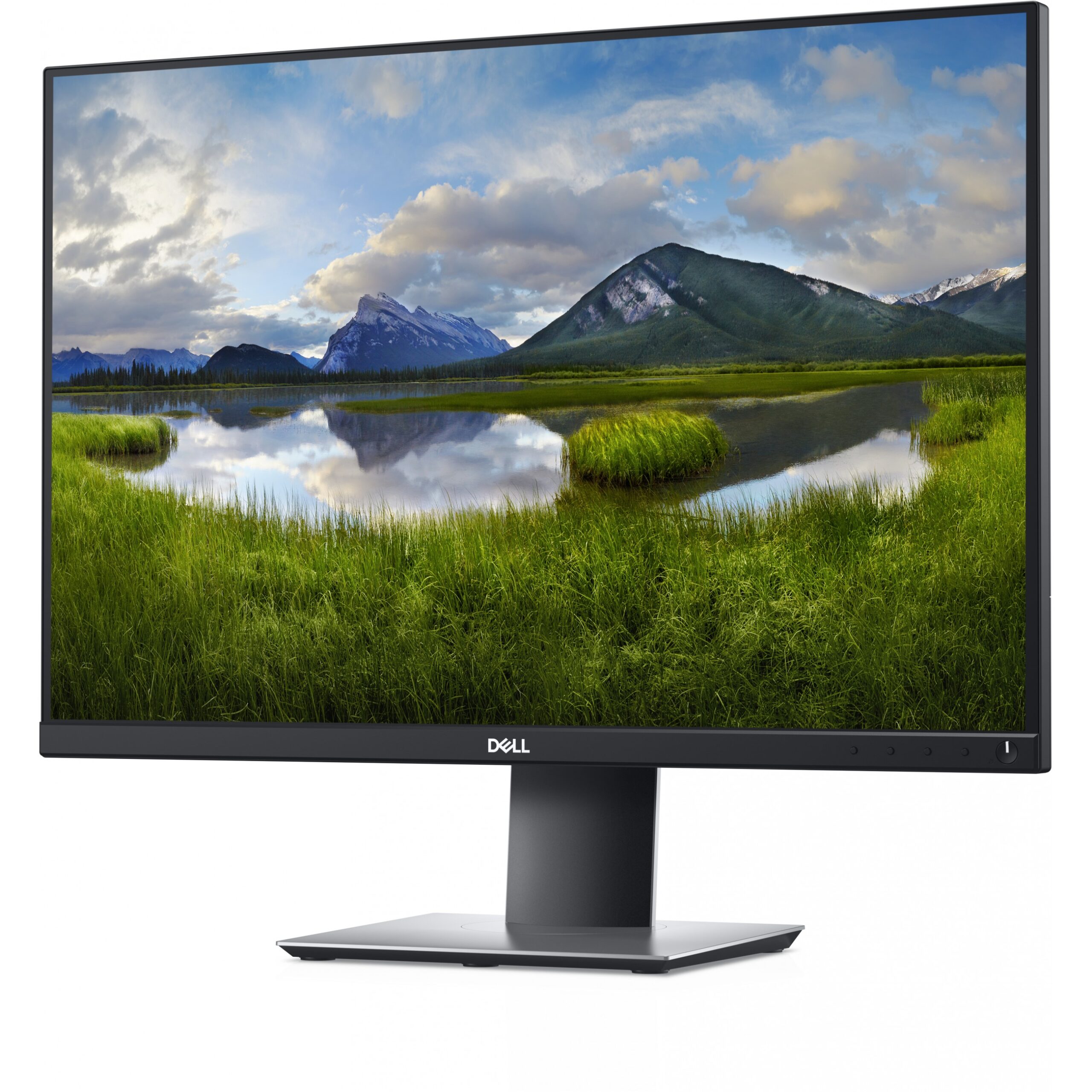 Monitor Dell P2421 / 24'' / WUXGA IPS LCD / 60Hz / 5ms / DP+DVI+HDMI+VGA+USB-C - Zezë - Figura 2