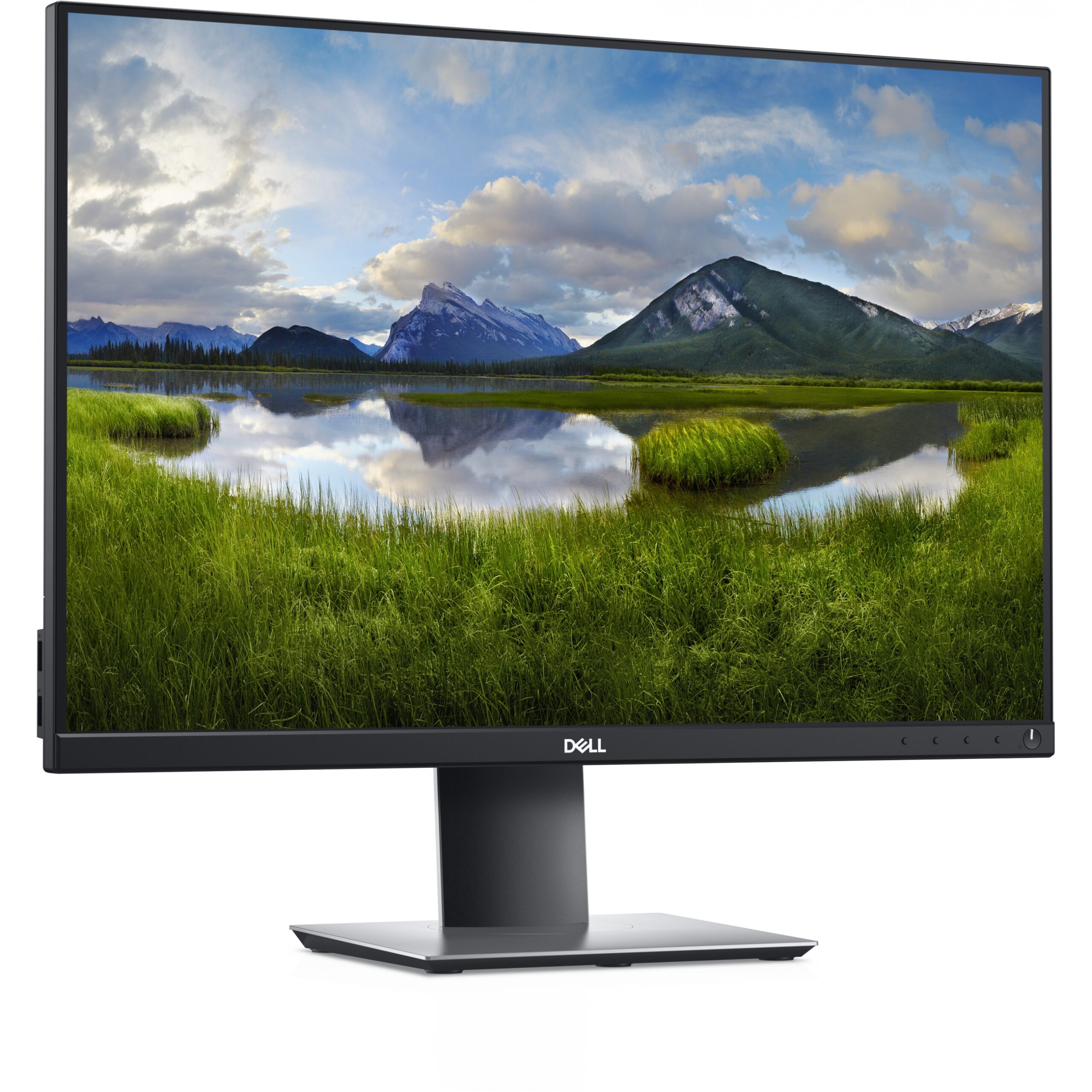 Monitor Dell P2421 / 24'' / WUXGA IPS LCD / 60Hz / 5ms / DP+DVI+HDMI+VGA+USB-C - Zezë - Figura 5