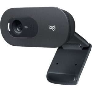 Webcam Logitech C505 1280x720 30 fps 60° / Gri