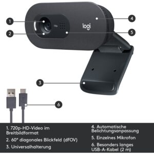 Webcam Logitech C505 1280x720 30 fps 60° / Gri