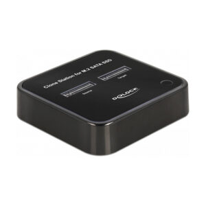 Docking Station DeLOCK SSD / USB-C / 2 x M.2 Card Slots