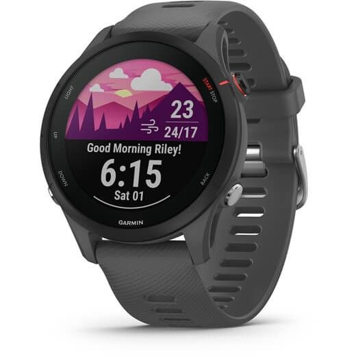 Garmin Forerunner 255 - Basic Grey