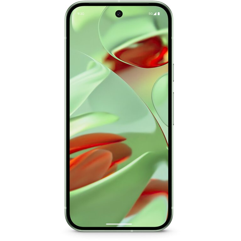Google Pixel 9 / 12GB / 128GB - 5G Wintergreen
