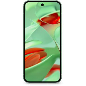 Google Pixel 9 5G / 12GB / 256GB – Gjelbër