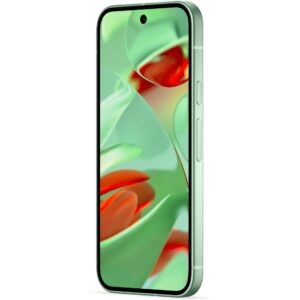 Google Pixel 9 5G / 12GB / 256GB – Gjelbër