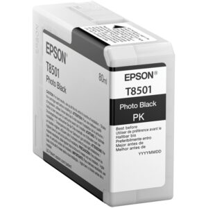INK Epson C13T850100 / Photo - Zezë